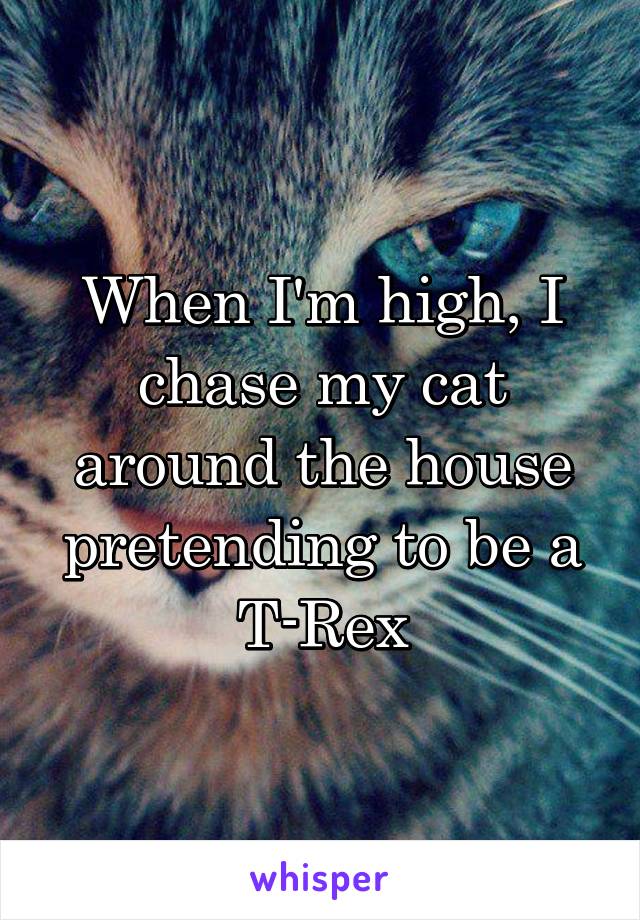 When I'm high, I chase my cat around the house pretending to be a T-Rex