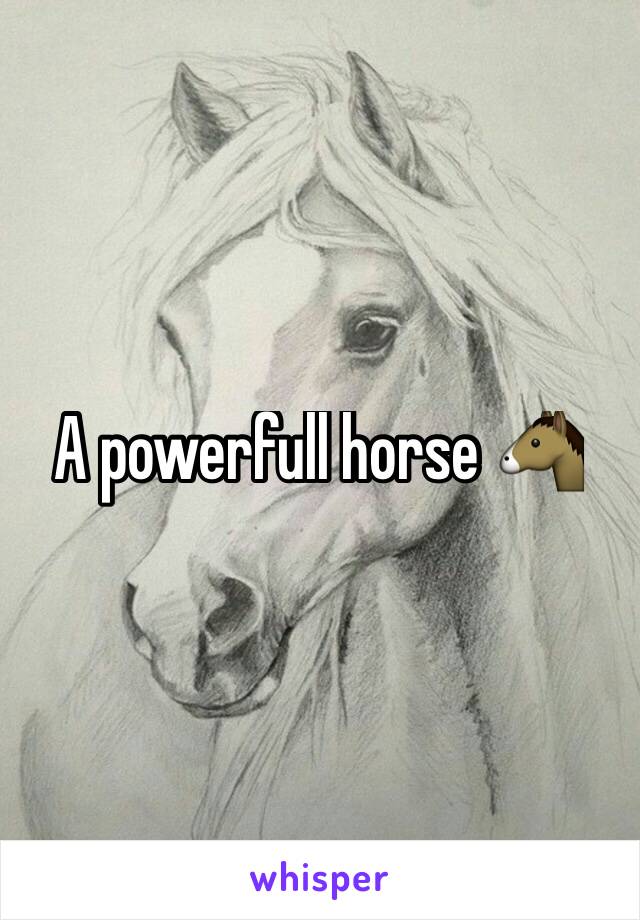 A powerfull horse 🐴