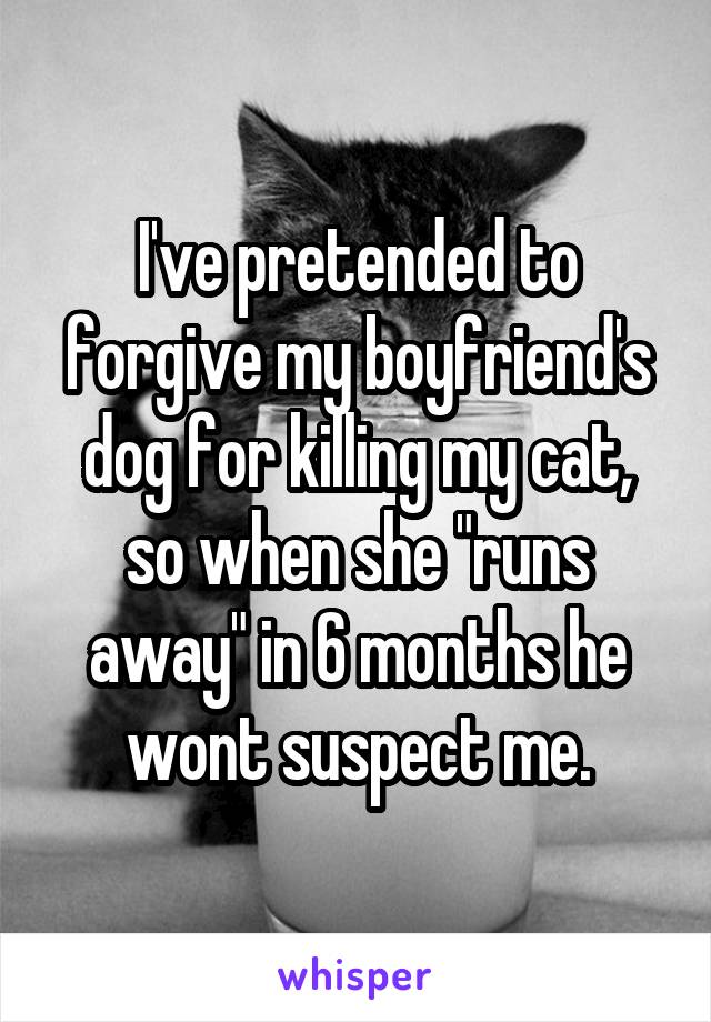 I've pretended to forgive my boyfriend's dog for killing my cat, so when she "runs away" in 6 months he wont suspect me.