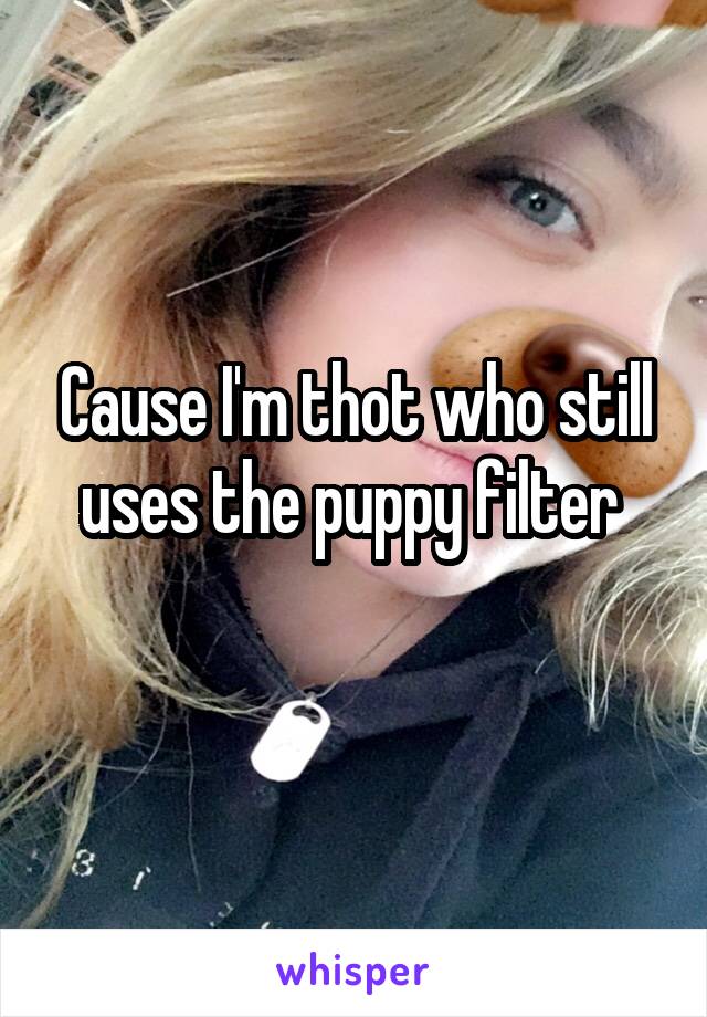 Cause I'm thot who still uses the puppy filter 
