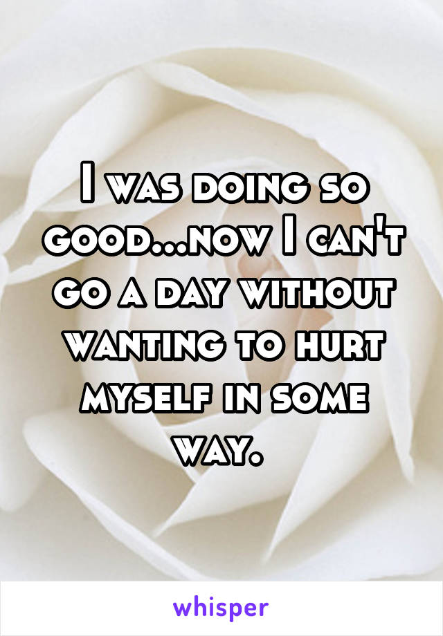 I was doing so good...now I can't go a day without wanting to hurt myself in some way. 
