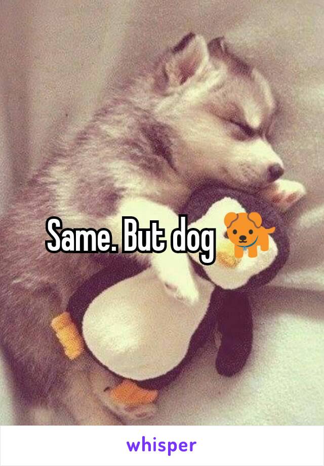 Same. But dog 🐕