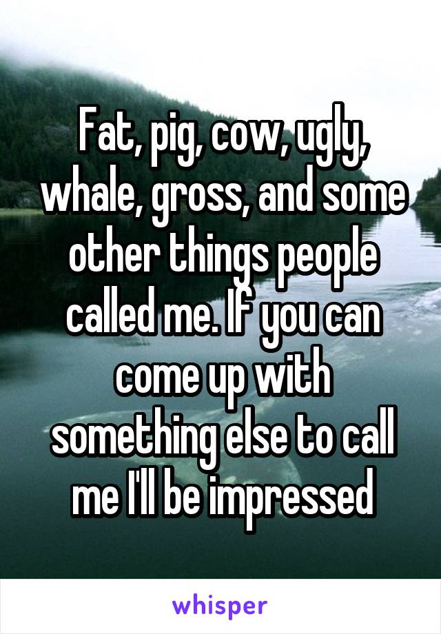 Fat, pig, cow, ugly, whale, gross, and some other things people called me. If you can come up with something else to call me I'll be impressed