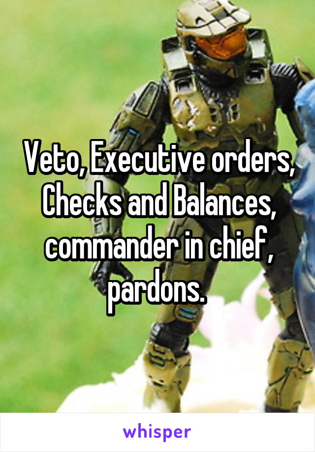 Veto, Executive orders, Checks and Balances, commander in chief, pardons. 