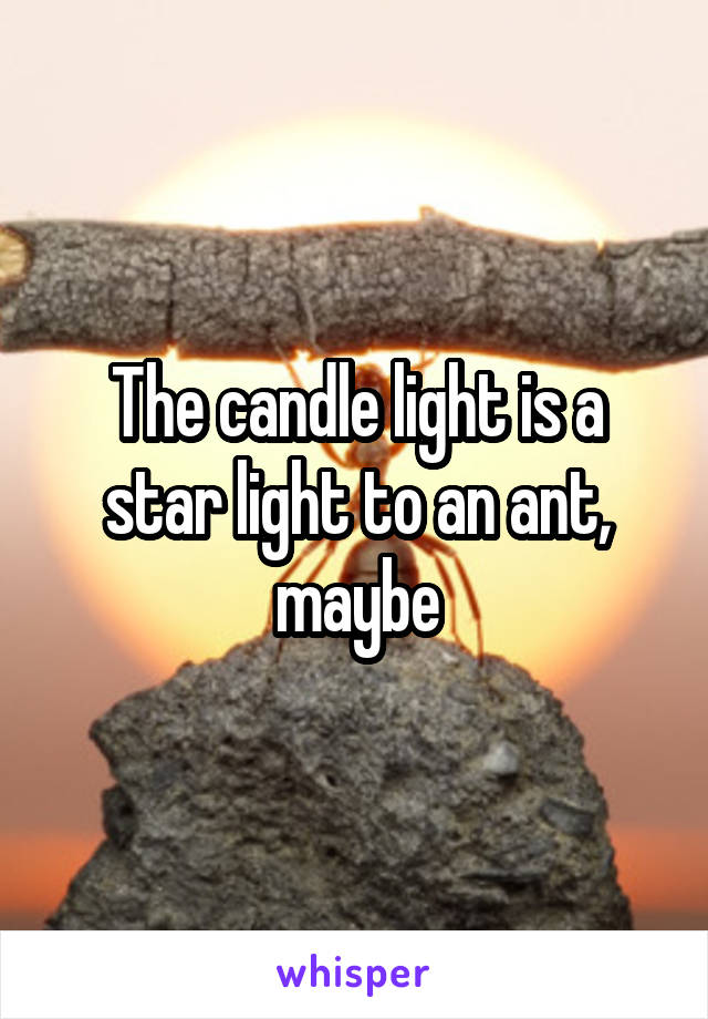The candle light is a star light to an ant, maybe