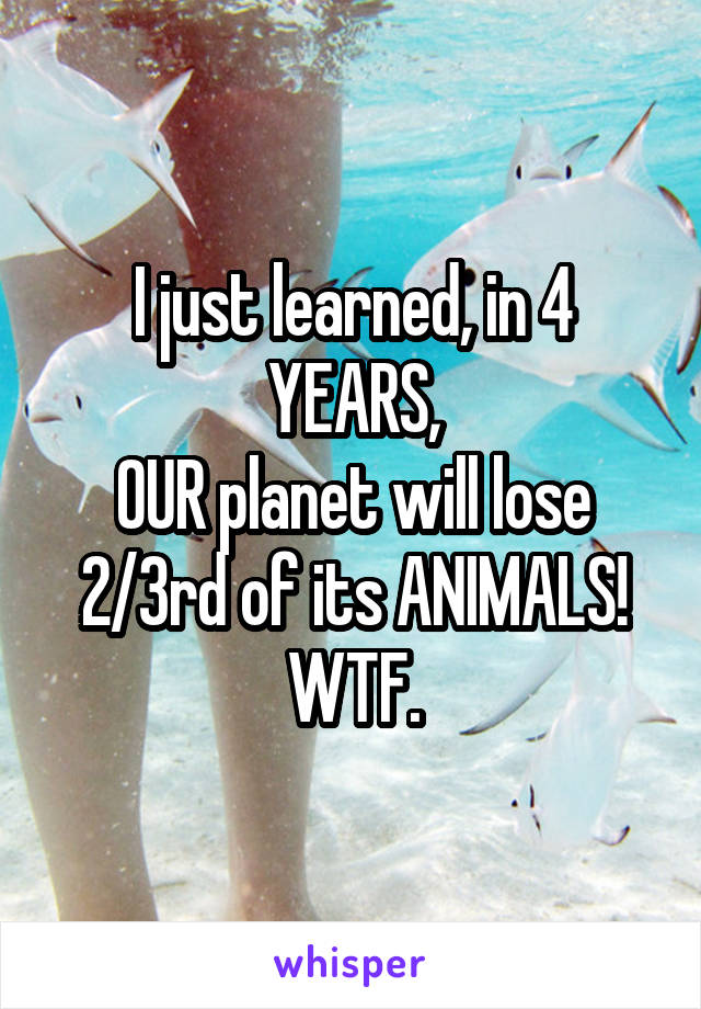 I just learned, in 4 YEARS,
OUR planet will lose 2/3rd of its ANIMALS!
WTF.