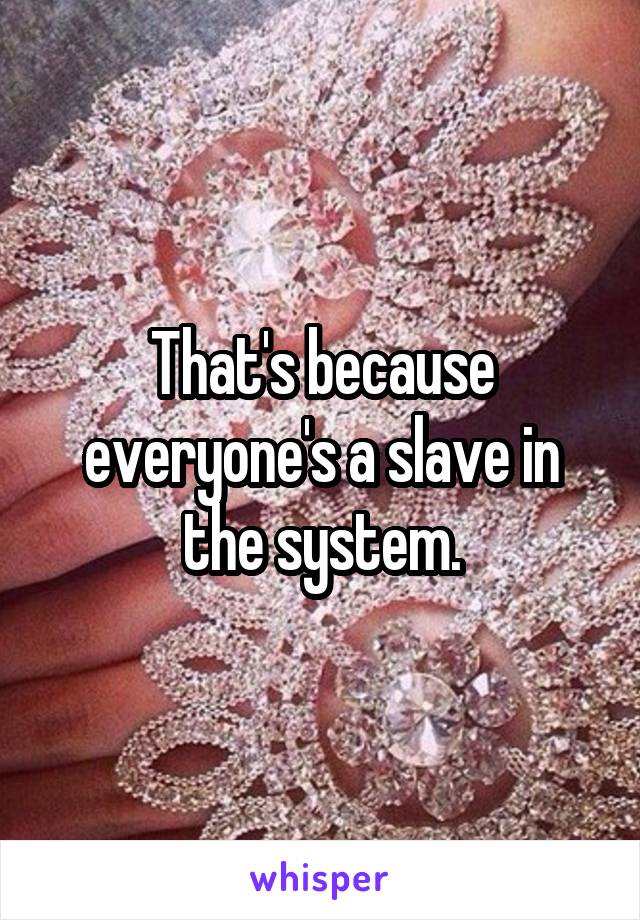 That's because everyone's a slave in the system.
