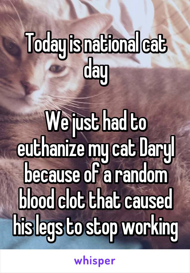 Today is national cat day

We just had to euthanize my cat Daryl because of a random blood clot that caused his legs to stop working