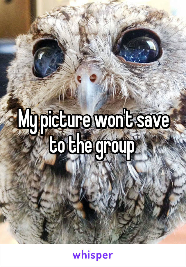 My picture won't save to the group 
