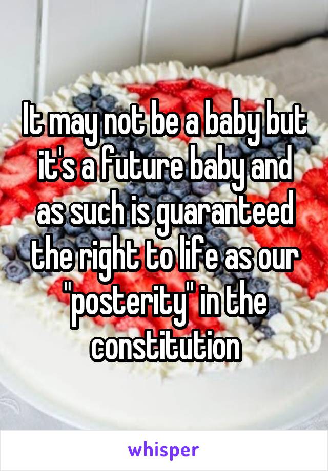 It may not be a baby but it's a future baby and as such is guaranteed the right to life as our "posterity" in the constitution