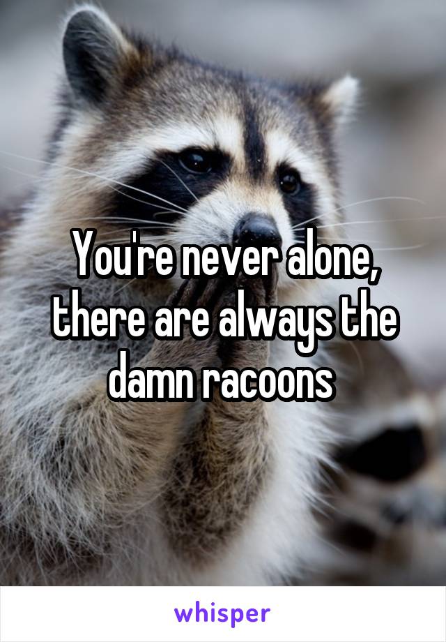 You're never alone, there are always the damn racoons 