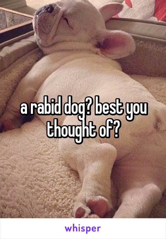 a rabid dog? best you thought of?