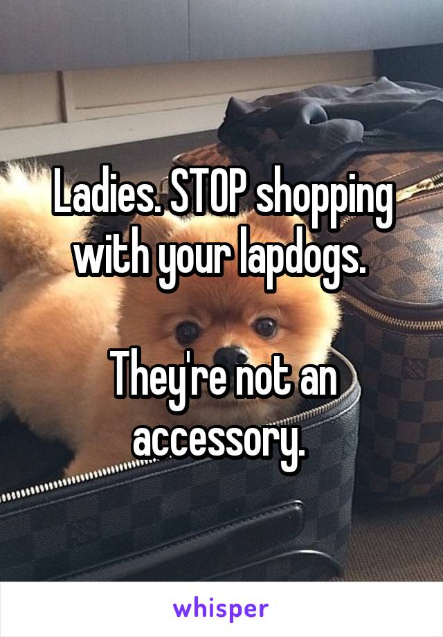 Ladies. STOP shopping with your lapdogs. 

They're not an accessory. 