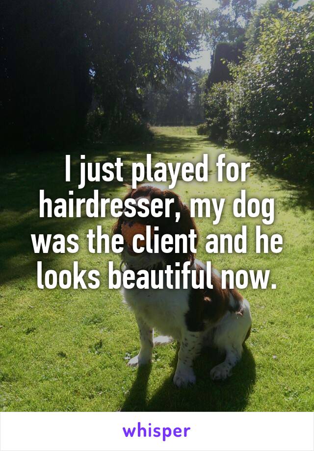 I just played for hairdresser, my dog was the client and he looks beautiful now.