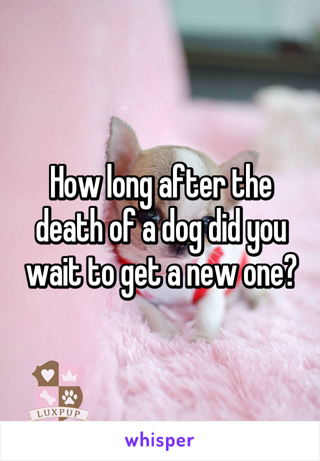 How long after the death of a dog did you wait to get a new one?
