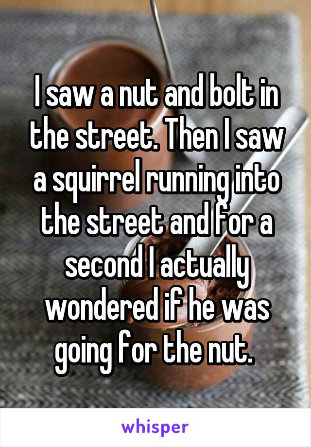 I saw a nut and bolt in the street. Then I saw a squirrel running into the street and for a second I actually wondered if he was going for the nut. 