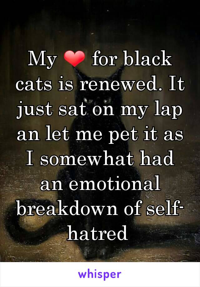 My ❤ for black cats is renewed. It just sat on my lap an let me pet it as I somewhat had an emotional breakdown of self-hatred 