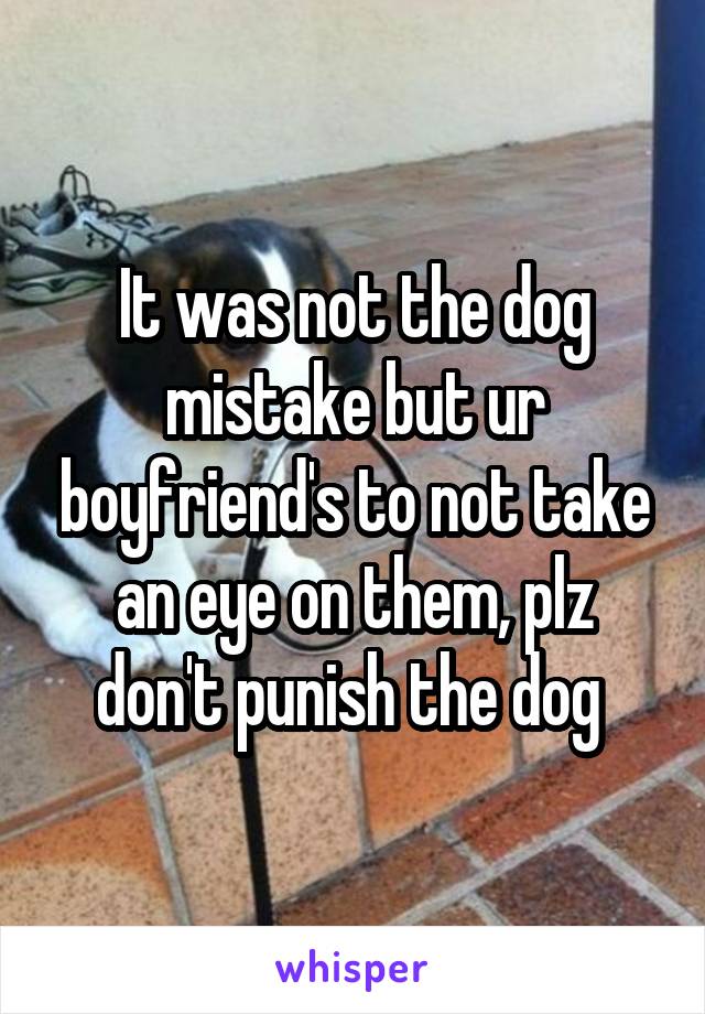 It was not the dog mistake but ur boyfriend's to not take an eye on them, plz don't punish the dog 
