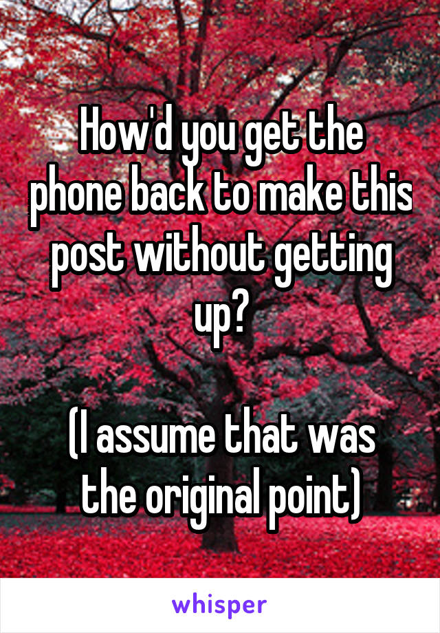 How'd you get the phone back to make this post without getting up?

(I assume that was the original point)