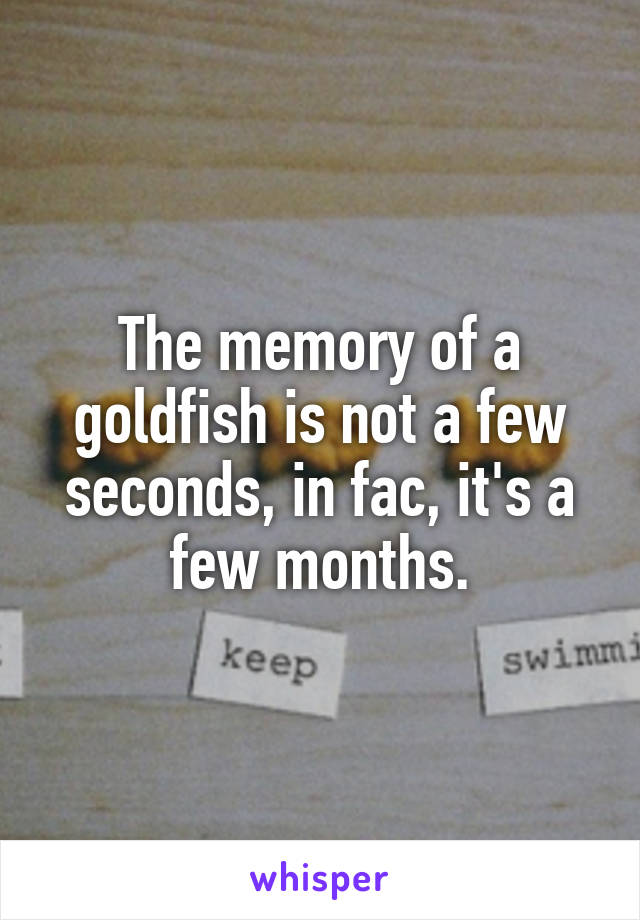 The memory of a goldfish is not a few seconds, in fac, it's a few months.