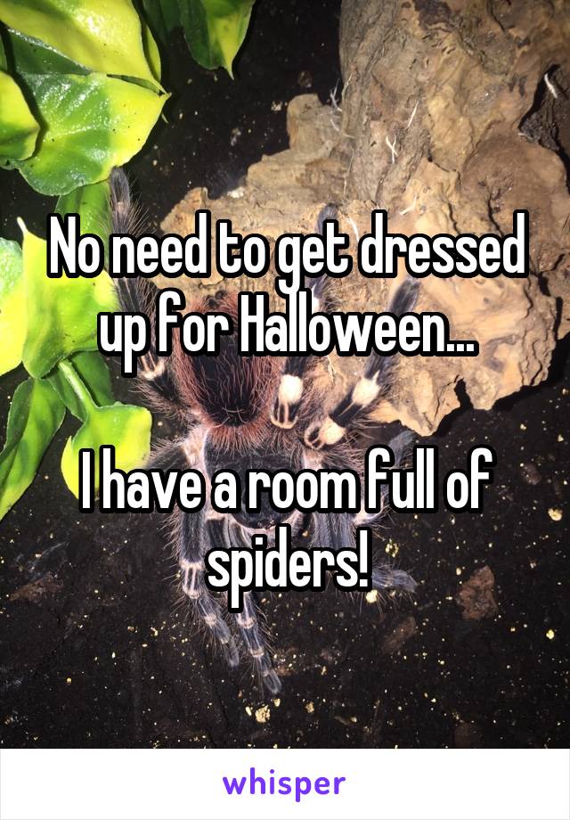 No need to get dressed up for Halloween...

I have a room full of spiders!
