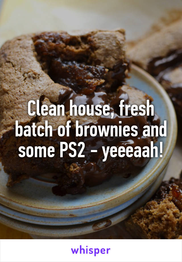 Clean house, fresh batch of brownies and some PS2 - yeeeaah!