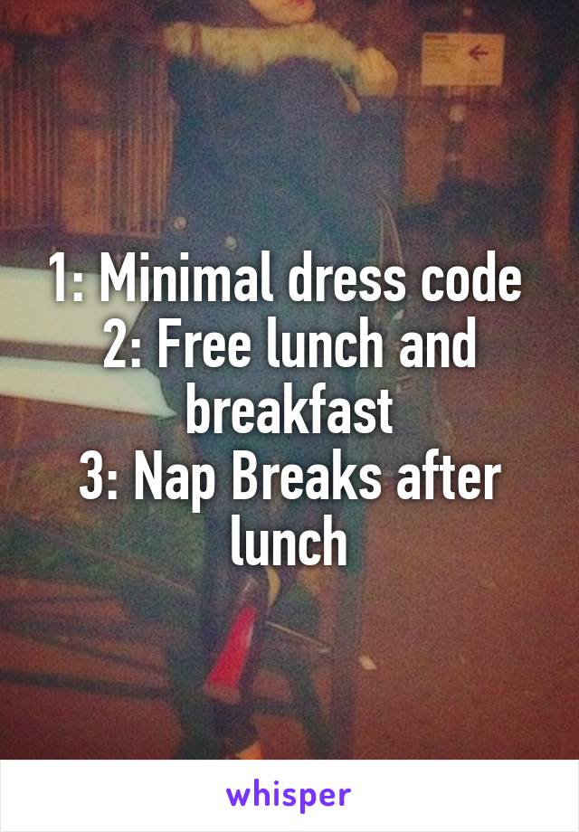1: Minimal dress code 
2: Free lunch and breakfast
3: Nap Breaks after lunch