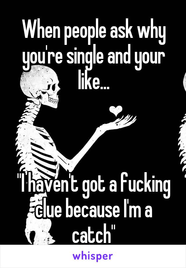 When people ask why you're single and your like...



"I haven't got a fucking clue because I'm a catch"