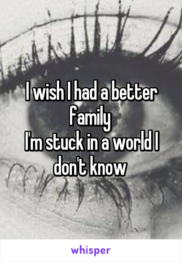 I wish I had a better family 
I'm stuck in a world I don't know 