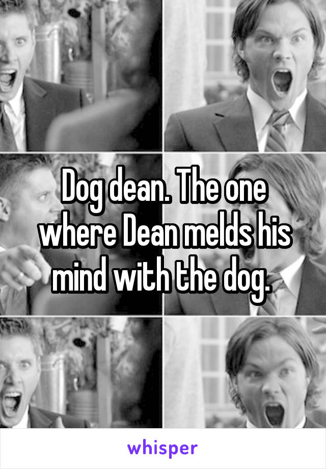 Dog dean. The one where Dean melds his mind with the dog. 