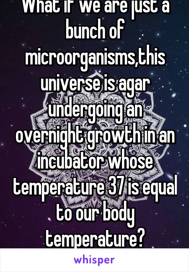 What if we are just a bunch of microorganisms,this universe is agar undergoing an overnight growth in an incubator whose temperature 37 is equal to our body temperature? Comments please?