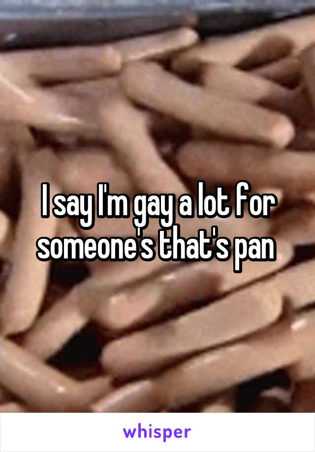 I say I'm gay a lot for someone's that's pan 