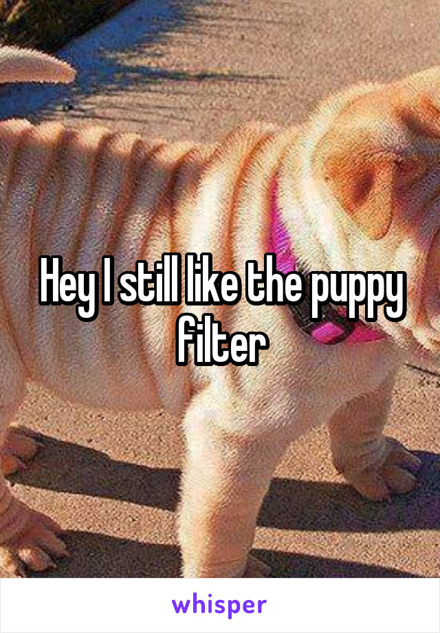 Hey I still like the puppy filter
