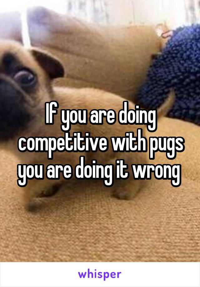 If you are doing competitive with pugs you are doing it wrong 