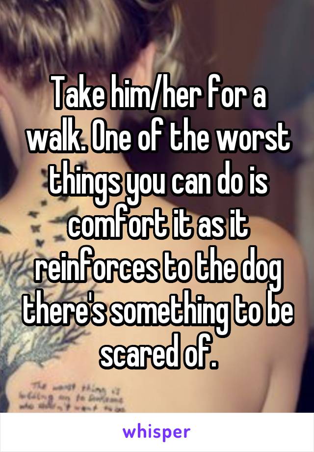 Take him/her for a walk. One of the worst things you can do is comfort it as it reinforces to the dog there's something to be scared of.
