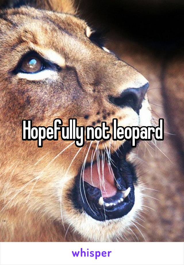 Hopefully not leopard