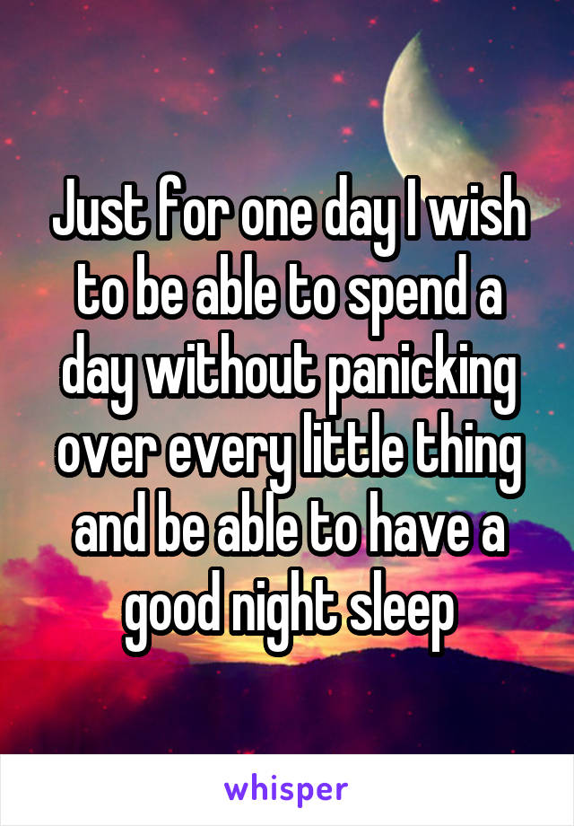 Just for one day I wish to be able to spend a day without panicking over every little thing and be able to have a good night sleep