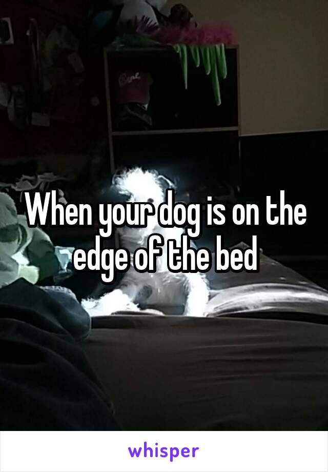 When your dog is on the edge of the bed