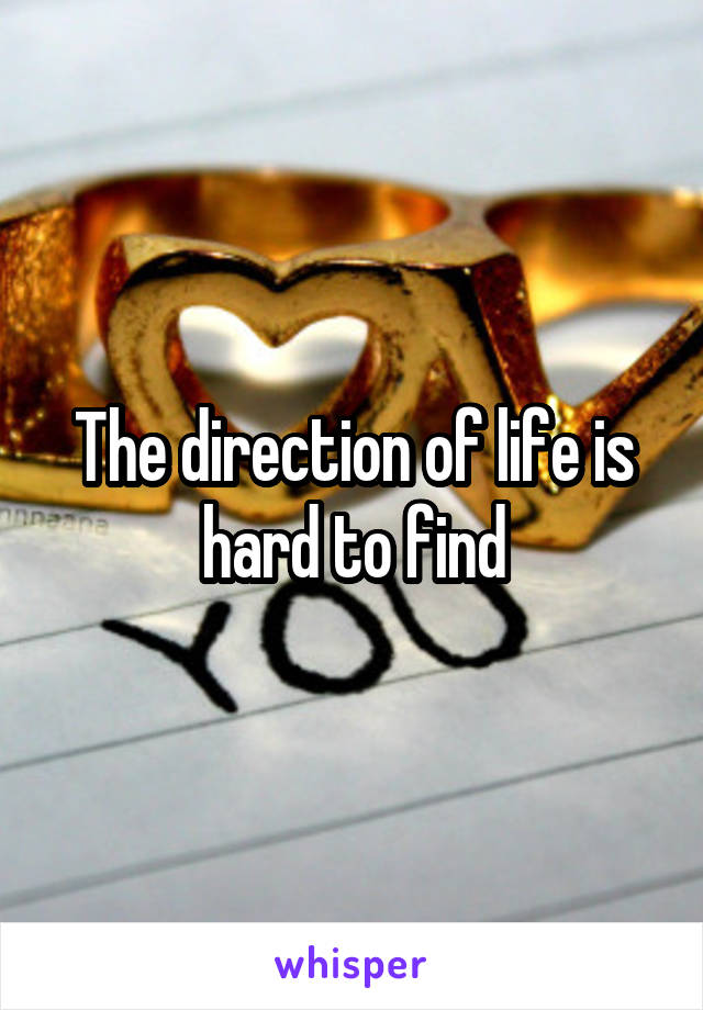 The direction of life is hard to find