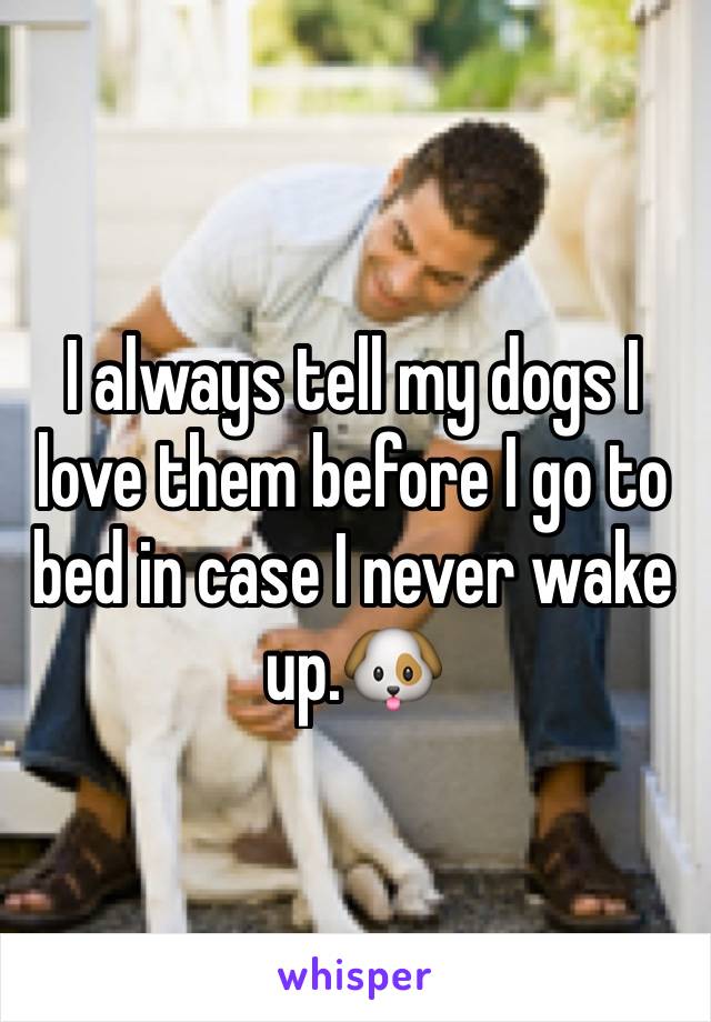 I always tell my dogs I love them before I go to bed in case I never wake up.🐶