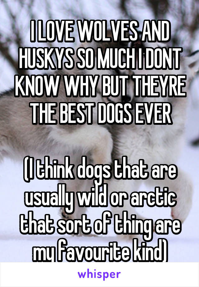 I LOVE WOLVES AND HUSKYS SO MUCH I DONT KNOW WHY BUT THEYRE THE BEST DOGS EVER

(I think dogs that are usually wild or arctic that sort of thing are my favourite kind)