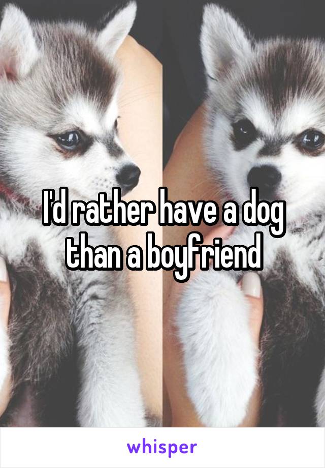 I'd rather have a dog than a boyfriend