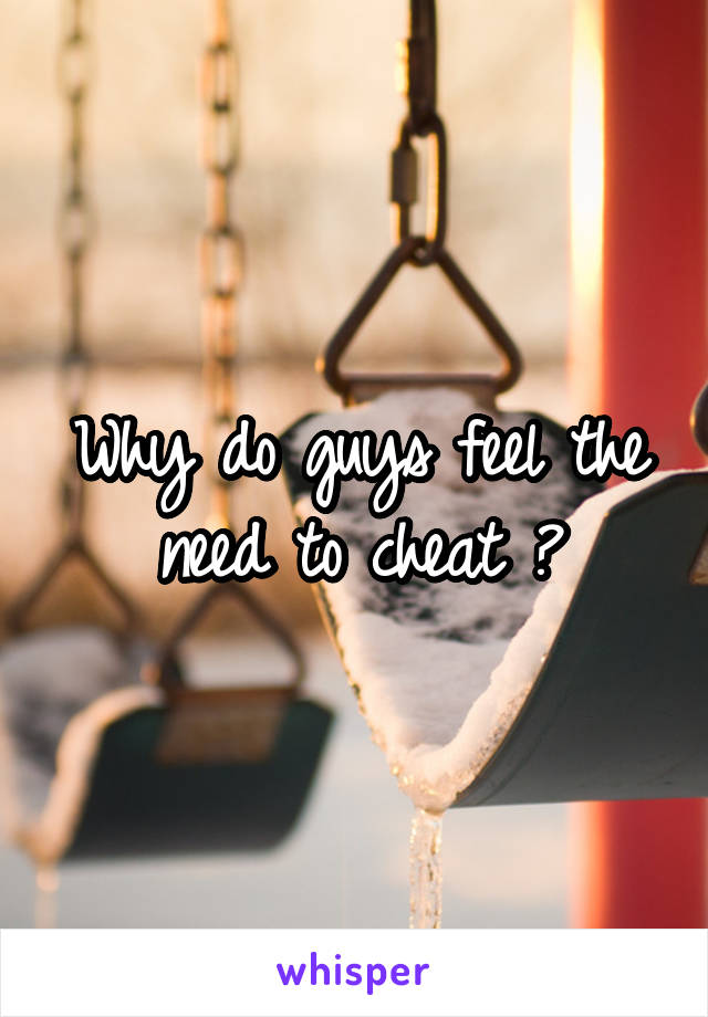 Why do guys feel the need to cheat ?