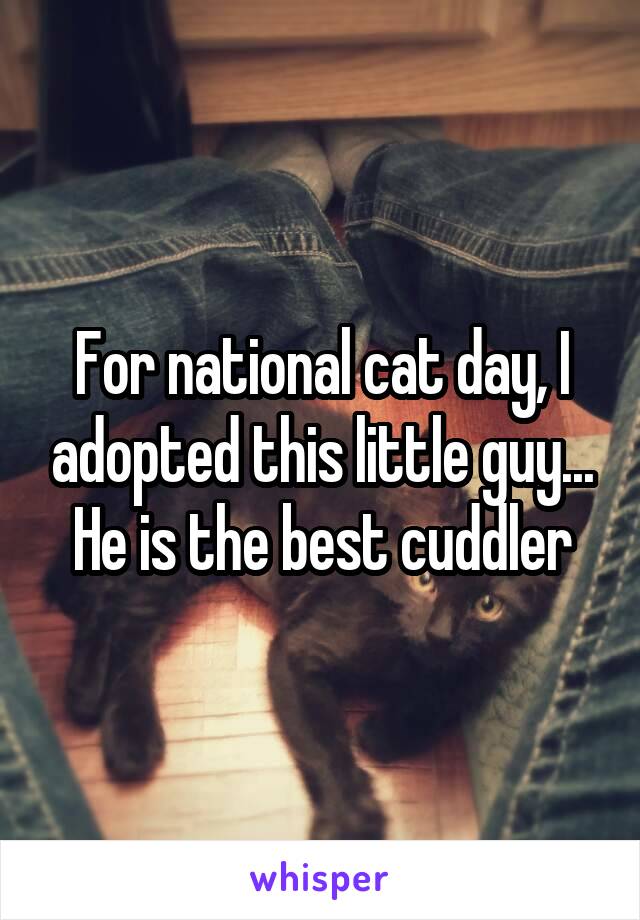 For national cat day, I adopted this little guy... He is the best cuddler