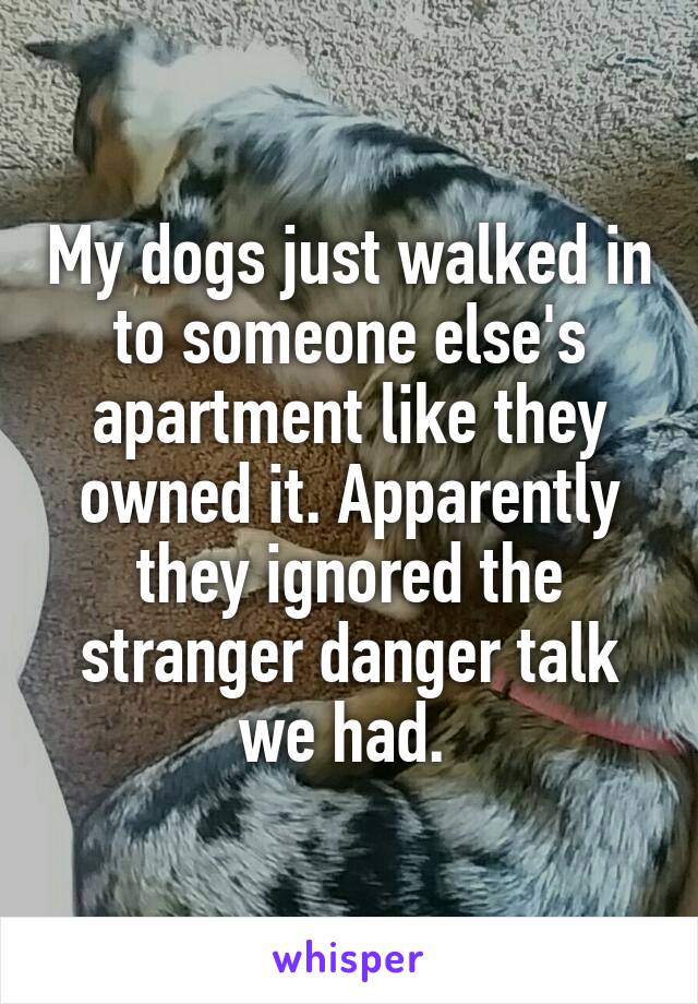 My dogs just walked in to someone else's apartment like they owned it. Apparently they ignored the stranger danger talk we had. 