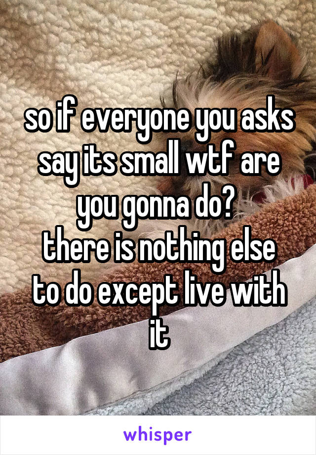 so if everyone you asks say its small wtf are you gonna do? 
there is nothing else to do except live with it