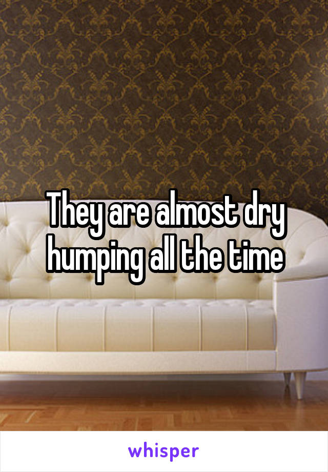 They are almost dry humping all the time