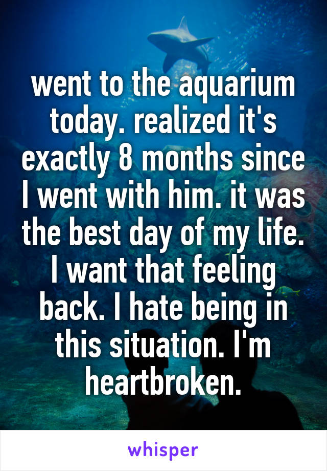 went to the aquarium today. realized it's exactly 8 months since I went with him. it was the best day of my life. I want that feeling back. I hate being in this situation. I'm heartbroken.