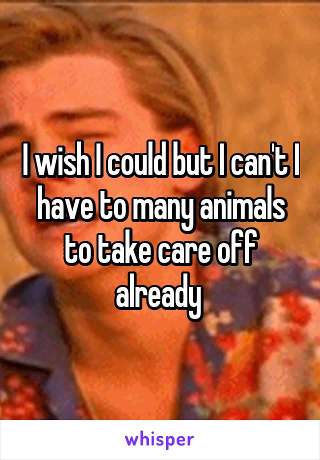I wish I could but I can't I have to many animals to take care off already 