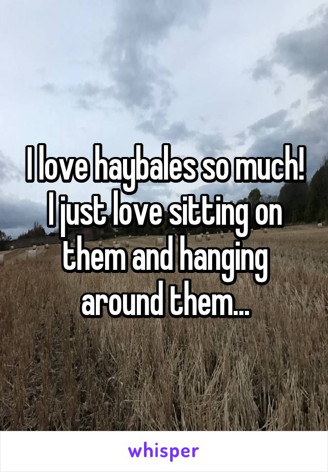 I love haybales so much! I just love sitting on them and hanging around them...